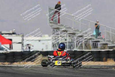 media/Mar-29-2025-Pro Autosports (Sat) [[89b1c017ad]]/6-Purple Group/Qualifying Session/